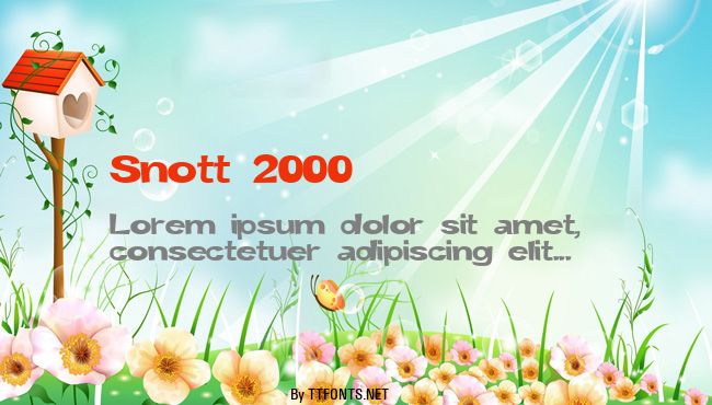 Snott 2000 example